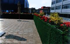 FLOWER BED FLOWER BED