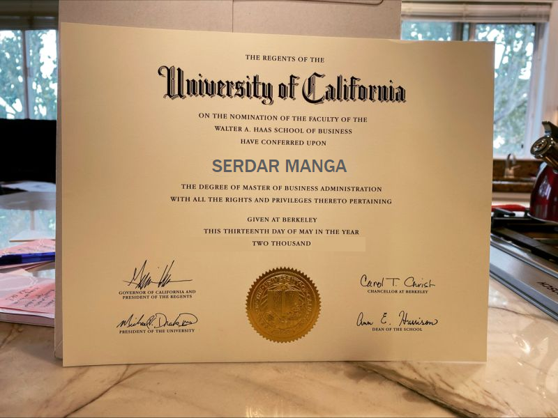 MBA DIPLOMASI
